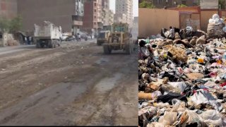 إلغاء نقاط تجمع القمامة وزراعتها فى عدد من أحياء الجيزة لتحسين المظهر الحضارى