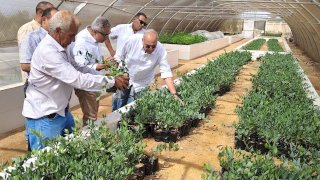 رئيس بحوث الصحراء يتفقد أنشطة مركز التنمية المستدامة لموارد جنوب سيناء برأس سدر