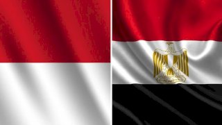 مصروإندونيسيا تؤكدان رفضهما لتهجير الشعب الفلسطيني.. واتفاق على التعاون الاستراتيجي